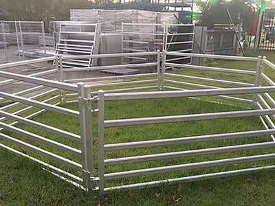 Australia Cheap Cattle Farm Fence Galvanized Iron Rails Welded Cattle Equipment photo-3