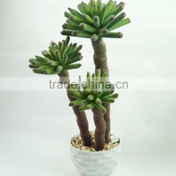 Best Selling New Design Artificial Succulent Plants Indoor Use