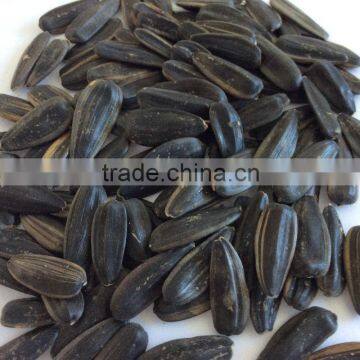 Chinese sunflower seeds black sunflower seeds export sunflower seeds