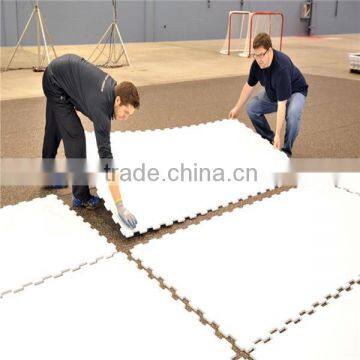 hockey slide board/pe 500 polythylene sheet/slide board