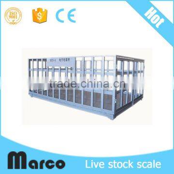 With Wireless Indicators Electronic Livestock Weigh Scales photo-5