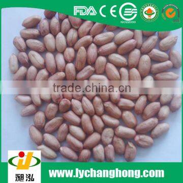 Ju'nan country best quality peanut kernel24/28 size 25kg/ctn for sale