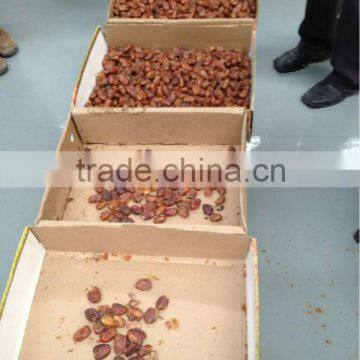 Date Sorting machine
