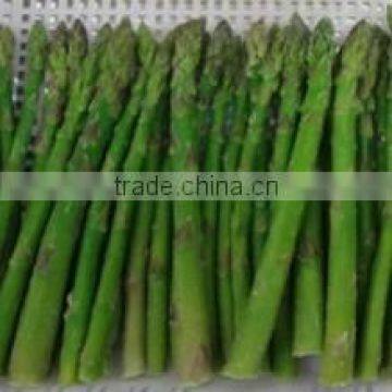 Frozen style Chinese green asparagus whole spears