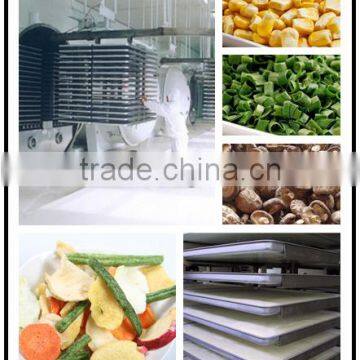Food freeze dryers sale/Freeze drying machine