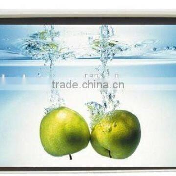Wall or Ceiling Mounted 200 Motorized Projector Screen for Video Projector photo-3