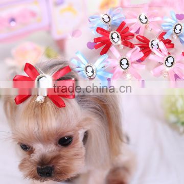 2016 new popular innovative pet accessories