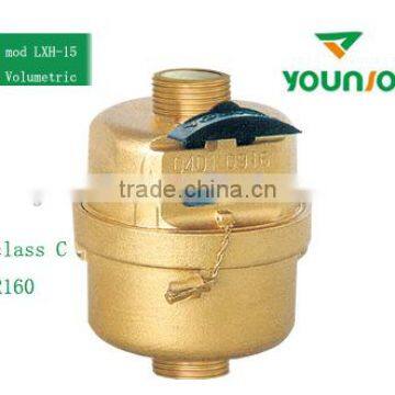 Rotary piston water meter