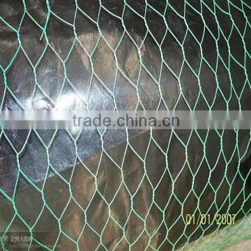 1/4 Inch Galvanized Chicken Wire Mesh photo-3