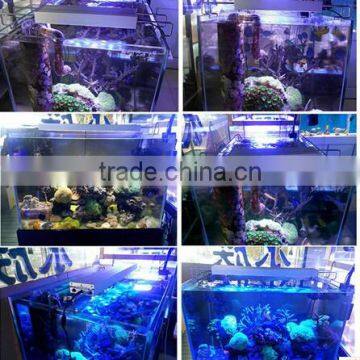 Wholesale Chinese Aquarium Led Lighting for Cultured Coral and Fish White and Blue Led Light OEM/ODM Acceptable photo-6