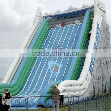 Children Pvc Tarpaulin Inflatable Pool Slide With Climbing Wall Quality Choice photo-3