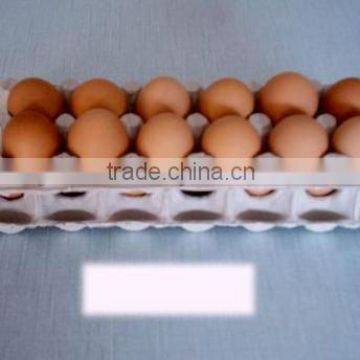 machine for making egg tray