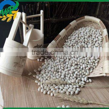 Chinese White Kidney Beans (navy type)