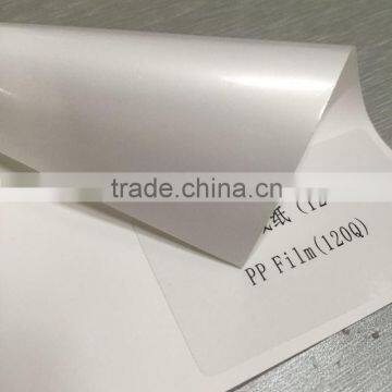 Dye pp Paper, Eco-solvent pp Paper, Matte pp Paper for Poster Advertising photo-4