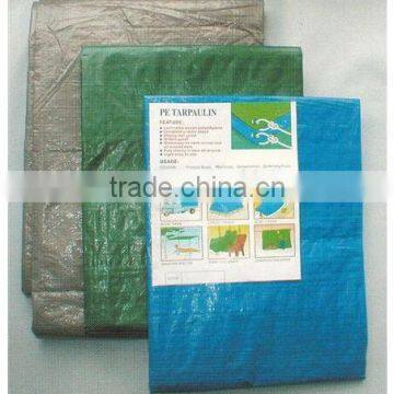 tarpaulin sheet with plastic rope and eyelet