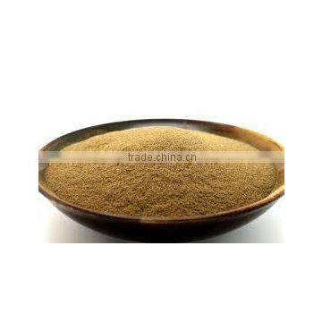 SPRAY DRIED POWDER MADE FROM FRUIT , VAGETABLES, LEAVES photo-3