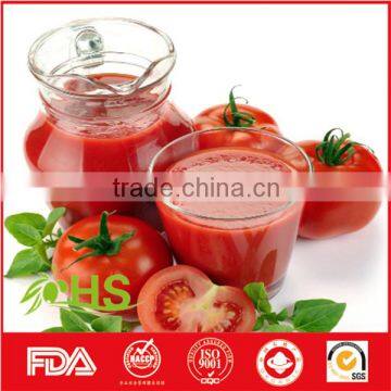 Best price canned tomato paste