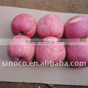 Chinese Fuji Apple Fruit With low price