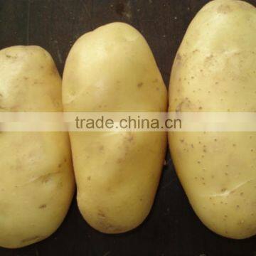 Chinese Factory Of Fresh Potato