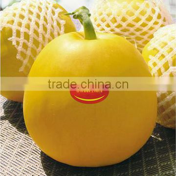 Sweet No.1-Golden Yellow sweet melon seeds