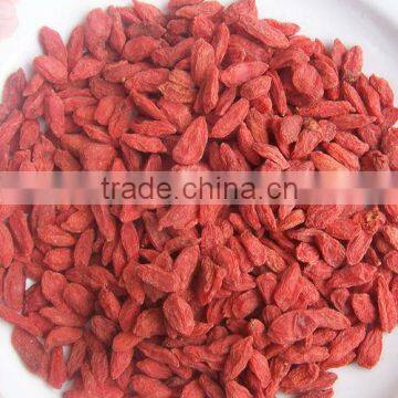 BNP Jinns Medlar Offers 100% Natural Best Quality Organic HACCP ISO HALAL Dried Goji Berries