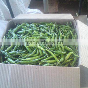 vegetables