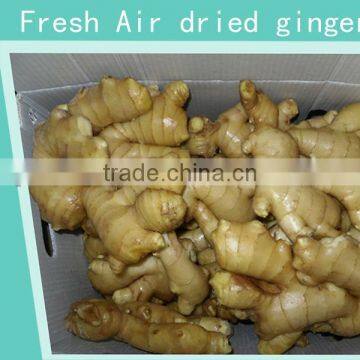 Fresh Washed Ginger photo-5