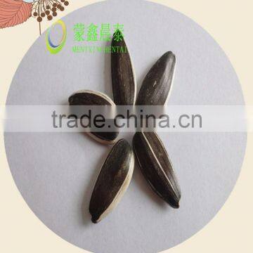 Organic Cultivation Type and Raw Processing Type hulled sunflower seeds