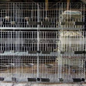 Galvanized Pigeon Breeding Cage For Poultry Farms photo-3