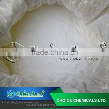 Best price high grade food additive L Glutamic Acid manufacturer