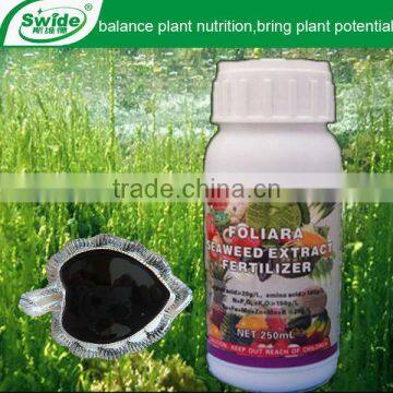 seaweed extract