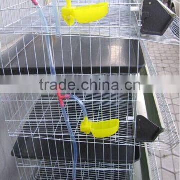 Quail Cage With Automatic Water System photo-3