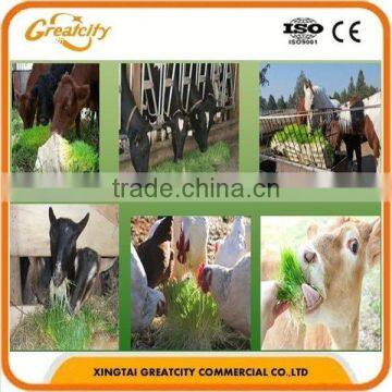 high quality barley fodder machine