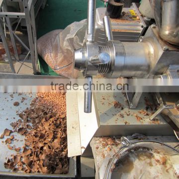 Automatic stainless steel olive oil press