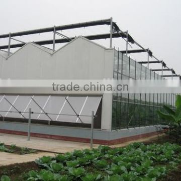 Saled Agricultural Greenhouse for Sale