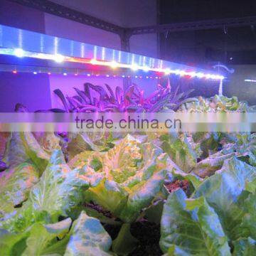 2016 New MarsHydro Led Plant Grow Bar Light Strip Full Waterproof Greenhours Grow Light Bar 23W 46W 92W photo-4
