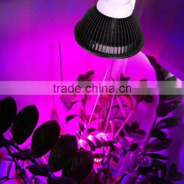 Best Seller on Amazon 12W LED Growing Bulb for Indoor Garden Greenhouse and Hydroponic Aquatic,E27 3Bands photo-6