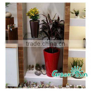 New Product Home Garden Plastic Bonsai Pot photo-2