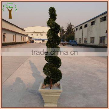 Commercial decorative preserved spiral boxwood topiary