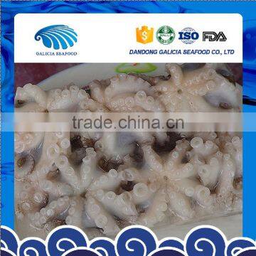 Frozen HACCP Certification Octopus Variety Baby Octopus