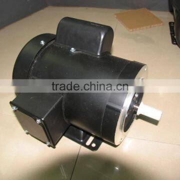 1/4HP Single Phase NEMA Motor with CSA