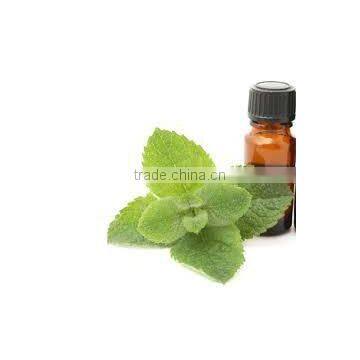 SPEARMINT Oil photo-2