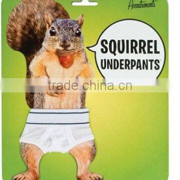 Squirrel Underpants photo-2