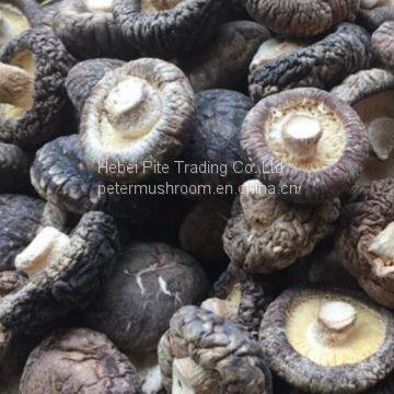 Dried Shiitake Mushroom