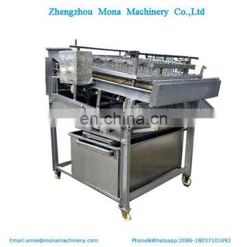 Shrimp shell removing machine for sale