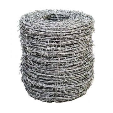Barbed Wire Galvanized