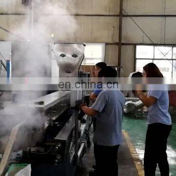 Textured Soybean Fiber Protein TVP making extruder TSP Machine