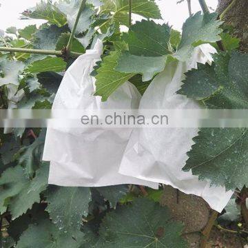 Promotion Price Hot Sale Peru Size Customizable Water Resistant Prevent Birds Fruit Growing Grape Protection Paper Bag