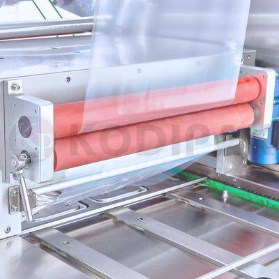 Fish Continuous Belt Type Vacuum Skin Packing Machine