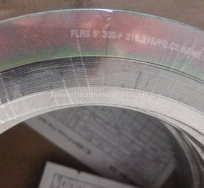 Raised Face SS304 ASME B16.20 Spiral Wound Gasket